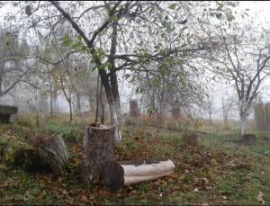 عسل دهکده